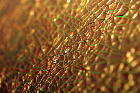 Cracked golden paint on canvas macro modern background high quality big size instant prints dried...