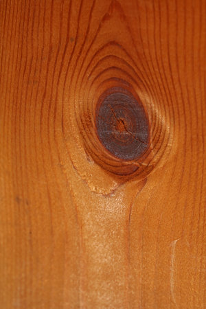 Woods seeing eyes macro close abstract texture plate of pine wood with a branch eye knot hole background brown yellow wooden stock photography big size high quality instant printsの写真素材