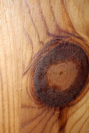 Wooden lacked brown surface macro close abstract texture plate of pine wood with a branch eye knot hole background brown yellow wooden stock photography big size high quality printsの写真素材