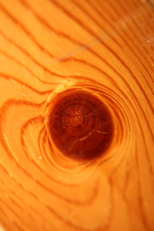 Wooden lacked brown surface macro close abstract texture plate of pine wood with a branch eye knot hole background brown yellow wooden stock photography big size high quality printsの写真素材