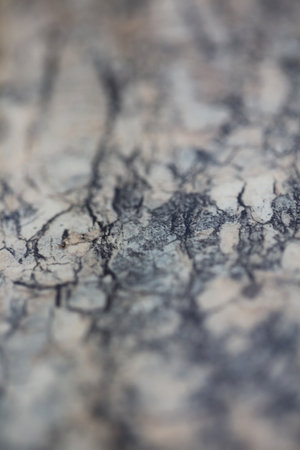 Chinese granite table abstract close up abstract background high quality big size printings