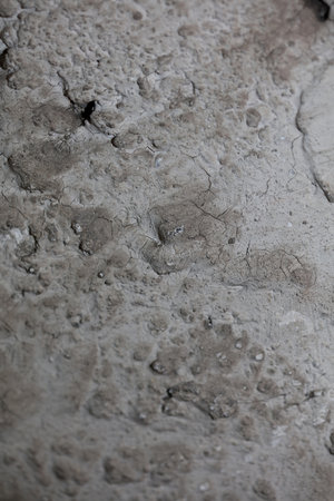Retro white old damaged cracked wall surface macro background fine modern art high quality prints...