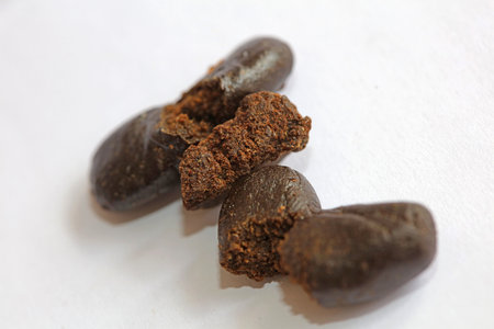 Maroccan fresh cannabis pollen close up filtered hash extraction amazing super dry Nepal hashish...