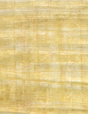 Natural papyrus background and textureの写真素材