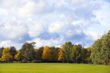 Beautiful autumn landscape park area and blue skyの写真素材