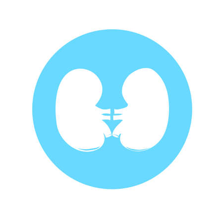 Kidneys symbol - vector illustration on blue circle.のイラスト素材