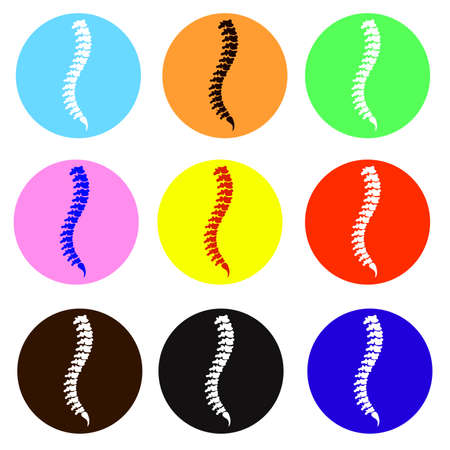 Vector internal organs icons set on white. Spine of different colors