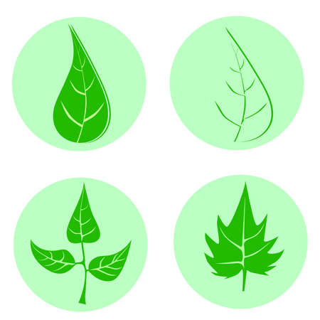 Set of green leaves design elements. This image is a vector illustration.Leaves icon
