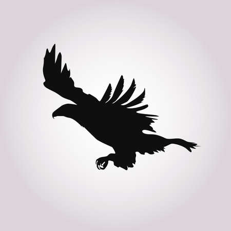 Silhouette of the eagle in flight with wings spread.Vector illustrationのイラスト素材