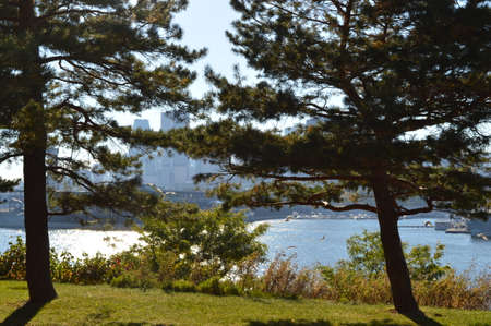 Downtown parkの写真素材