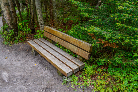 wood bench in the Canadian forestの写真素材