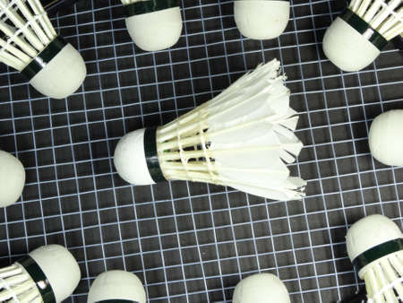 shuttlecocks on a badminton racketの写真素材