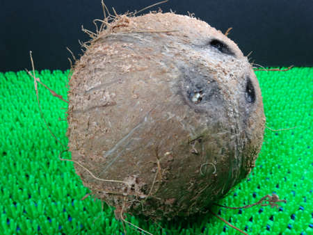 A peeled coconut fruit close up. Photo taken in Malaysiaの写真素材
