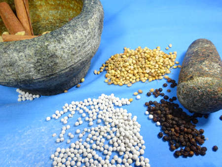 group of spices in blue backgroundの写真素材