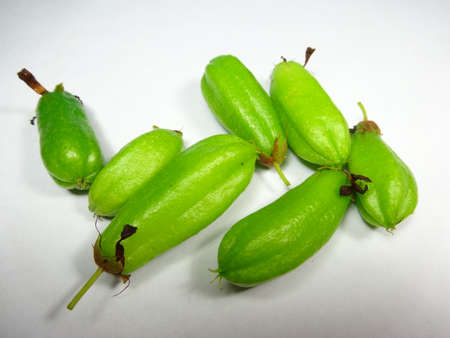 bilimbi close up on white backgroundの写真素材