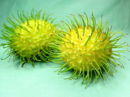 Yellowish rambutan or Nephelium lappaceum on light green background, photo taken in Malaysia