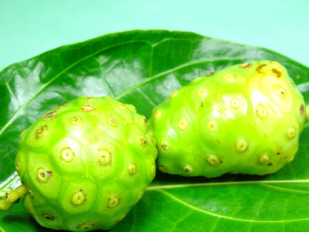 unripe  cheese fruit close up on light green background, photo taken in Malaysiaの写真素材