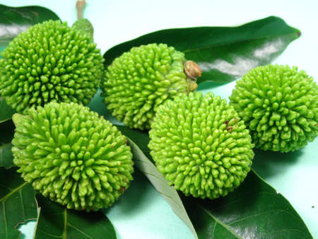 unripe pulasan fruits in green background. photo taken in Malaysia