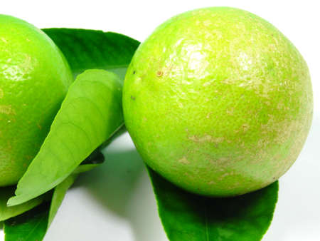 Unripe Key lime fruit close up on white backgroundの写真素材