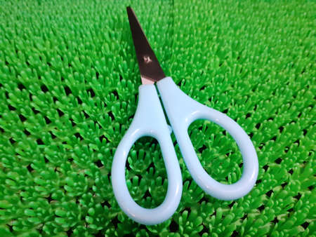 A blue scissor on artificial green grass background. photo taken in Malaysia