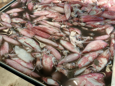 Fresh squid in the market in malaysia