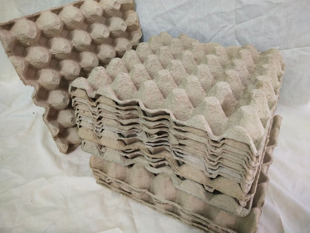 stacked egg empty paper cardboard  tray close-up on white background. photo taken in malaysia