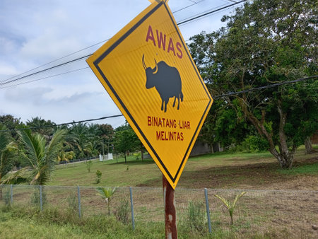 Warning sign on the road in malaysia. This sign is used to warn drivers of dangerous animals crossing road.video taken in malaysiaの写真素材