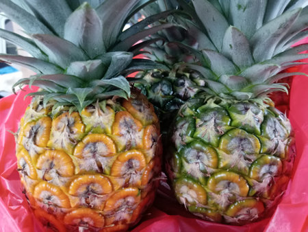 Ripe pineapple (Ananas comosus) close up photo taken in malaysia.Pineapple on the table in the kitchen. Tropical fruit.の写真素材