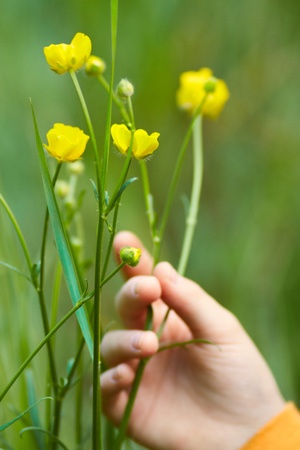 childrenの写真素材