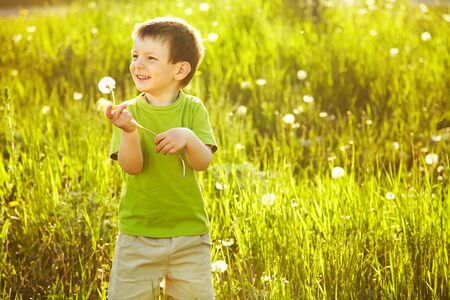 boy with a dandelion in the summer in the park on the green grass backgroundの写真素材