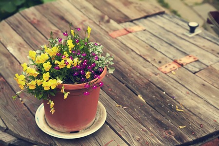 garden flowers in a ceramic pot on a wooden rustic backgroundの写真素材