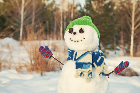funny snowman in a hat and scarf in the forestの写真素材