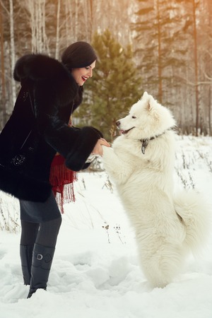 Dog breed Samoyed husky with woman outdoors. dog for a walk with his ownerの写真素材