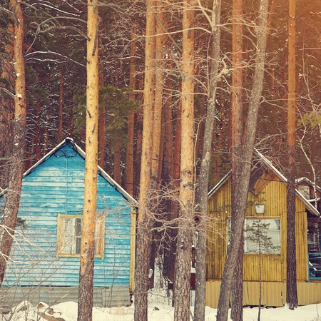 colored wooden houses in the winter pine forest