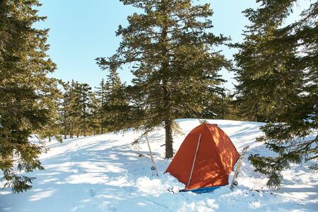 touristic tent in the winter firry forest in ski tourの写真素材