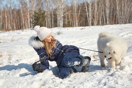 Dog breed Samoyed husky with girl outdoors. puppy dog for a walk with his owner.の写真素材