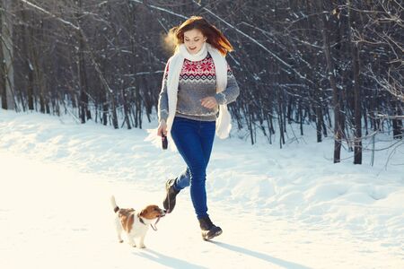 Jack Russell Terrier dog with owner in the winter outdoorsの写真素材