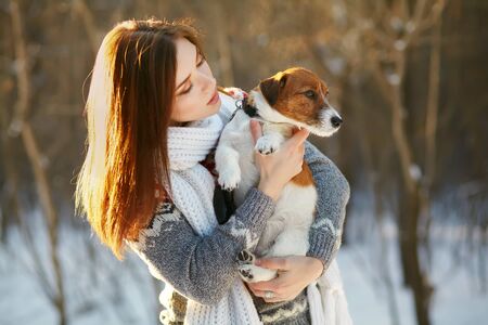 Jack Russell Terrier dog with owner in the winter outdoorsの写真素材