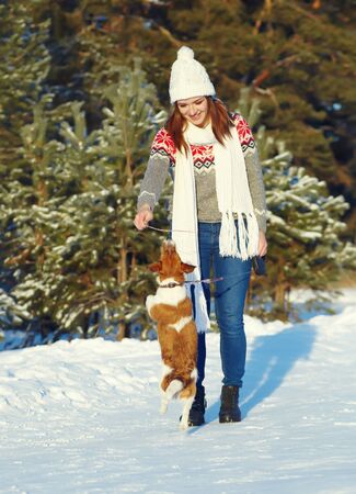 Jack Russell Terrier dog with owner in the winter outdoorsの写真素材