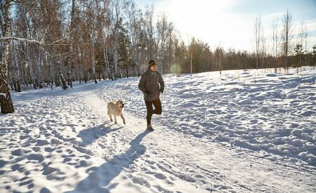 Labrador retriever dog for a walk with its owner man in the winter outdoors doing jogging sport.の写真素材