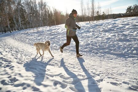 Labrador retriever dog for a walk with its owner man in the winter outdoors doing jogging sport.の写真素材