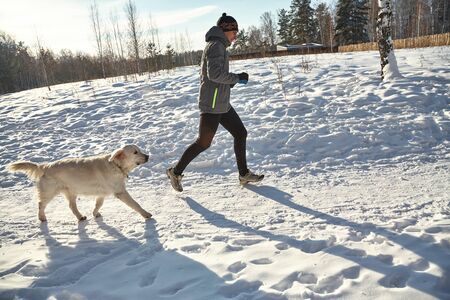 Labrador retriever dog for a walk with its owner man in the winter outdoors doing jogging sport.の写真素材