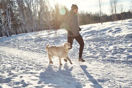Labrador retriever dog for a walk with its owner man in the winter outdoors doing jogging sport.の写真素材
