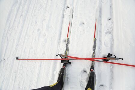 boots and poles on ski track and winter cross-country skiing equipment.の写真素材