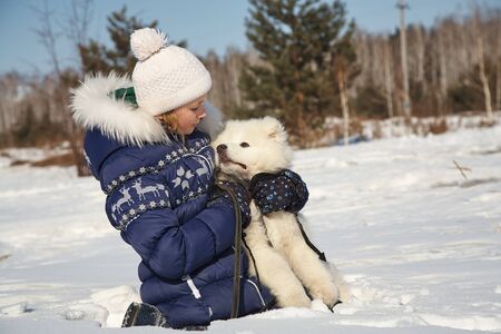 Dog breed Samoyed husky with girl outdoors. puppy dog for a walk with his owner.の写真素材