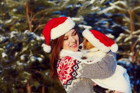 Jack Russell Terrier dog in red Santa hat with owner woman in the winter outdoors.の写真素材