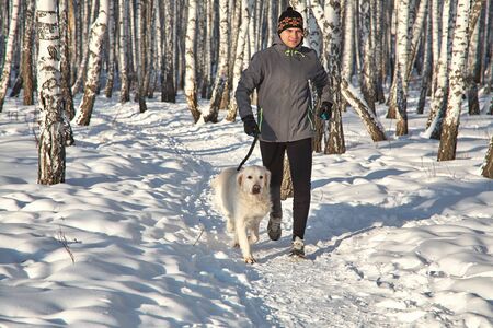 Labrador retriever dog for a walk with its owner man in the winter outdoors doing jogging sport.の写真素材