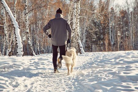Labrador retriever dog for a walk with its owner man in the winter outdoors doing jogging sport.の写真素材