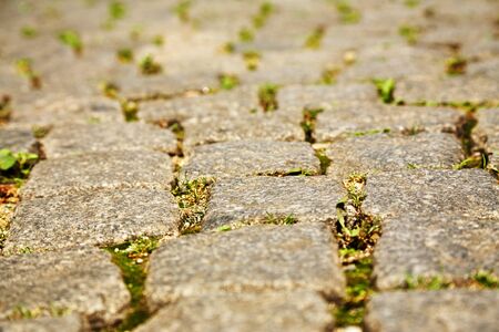 Road paved with paving stones. Cobbles backgroundの写真素材