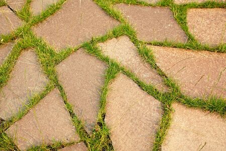 footpath with a growing grass between stones. abstract backgroundの写真素材